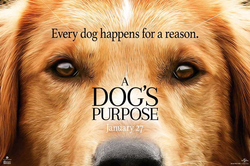 A Dogs Purpose Review