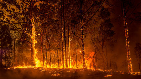 Australia Fires