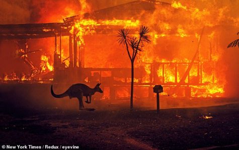 Australia Wildfires Update