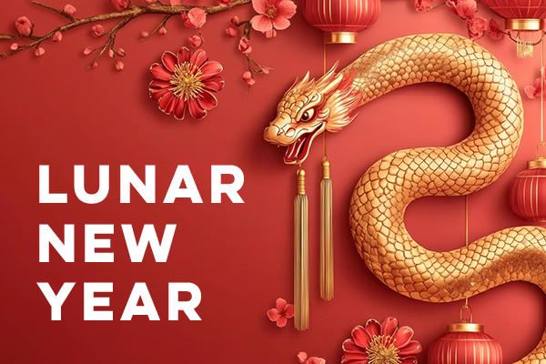 A Slithery Lunar New Year